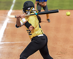 Softball 2